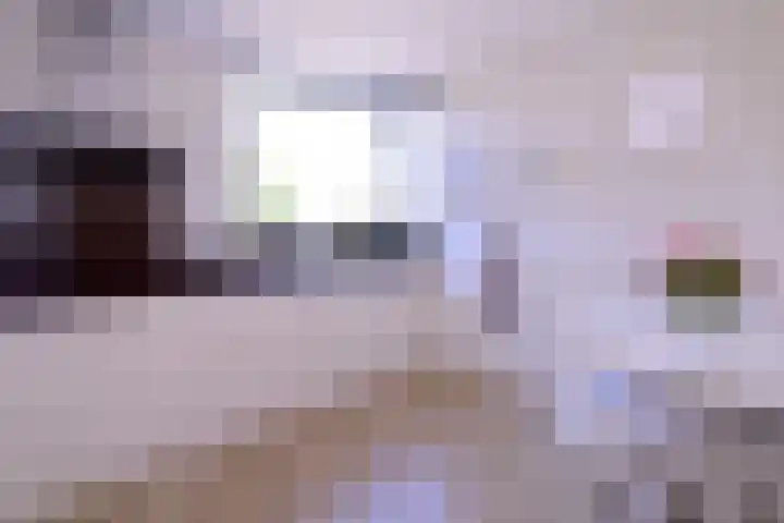 Hazenberg 28 Brummen thumbnail 11