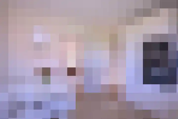 Hazenberg 28 Brummen thumbnail 12