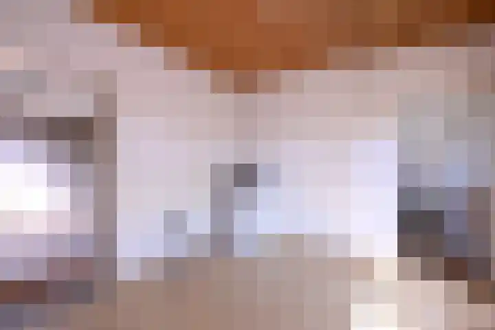 Hazenberg 28 Brummen thumbnail 14