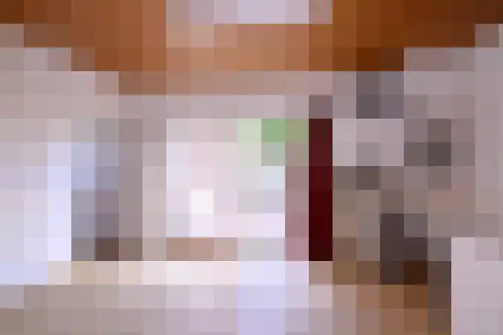 Hazenberg 28 Brummen thumbnail 16