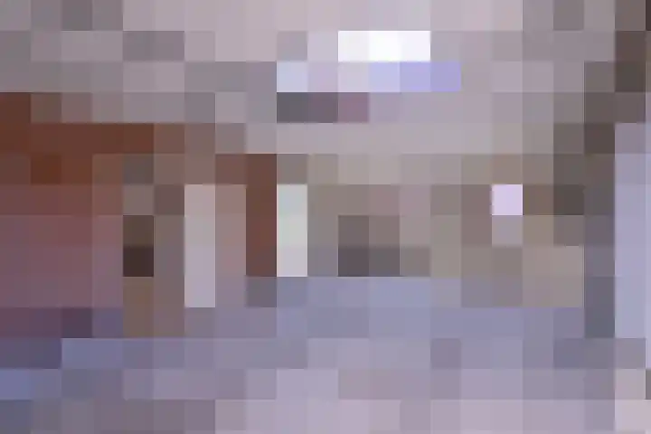 Hazenberg 28 Brummen thumbnail 17