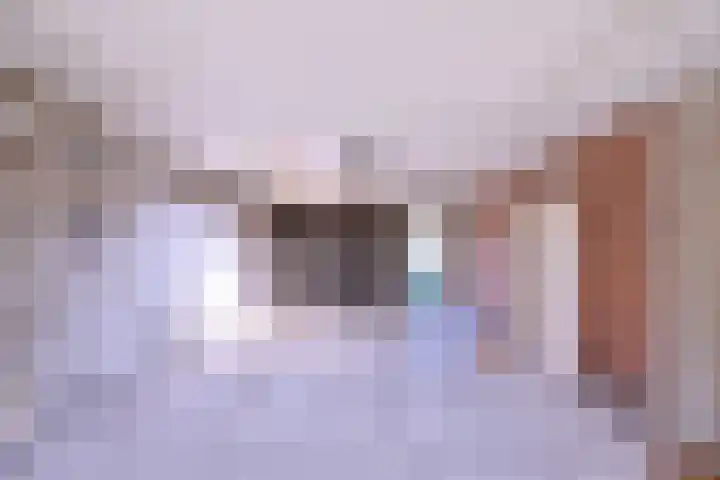 Hazenberg 28 Brummen thumbnail 18