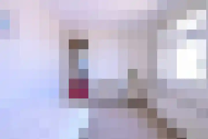 Hazenberg 28 Brummen thumbnail 25