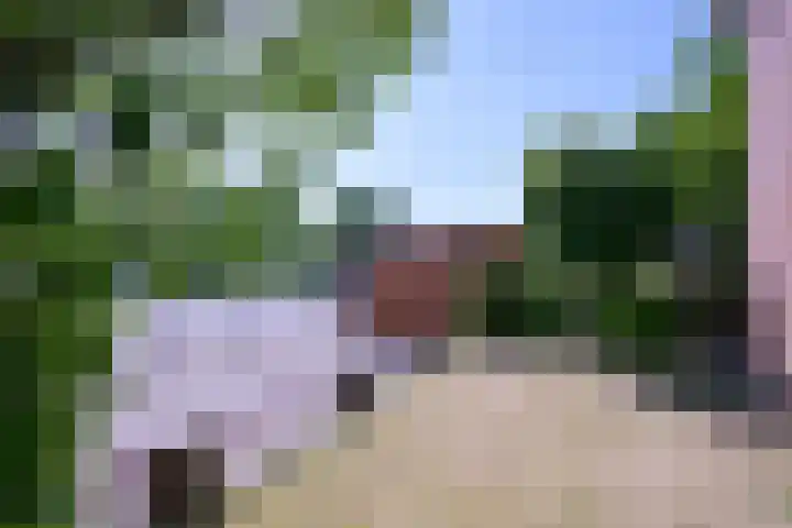 Hazenberg 28 Brummen thumbnail 35