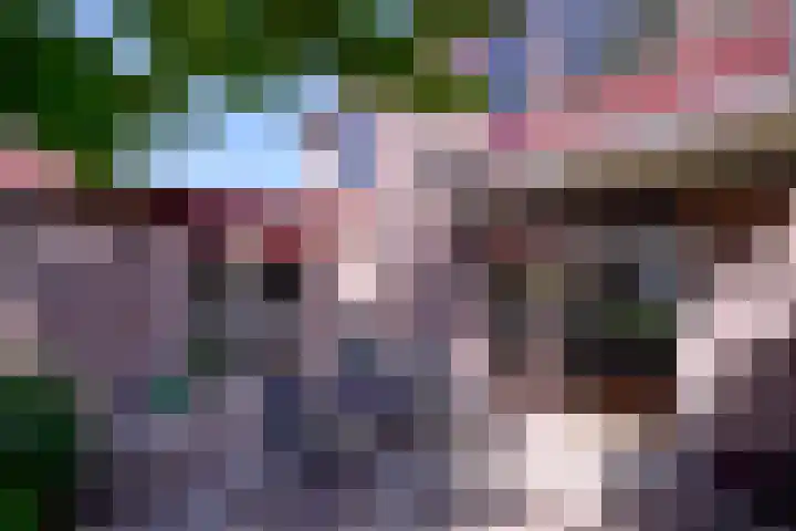 Hazenberg 28 Brummen thumbnail 37