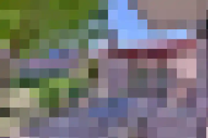 Hazenberg 28 Brummen thumbnail 38