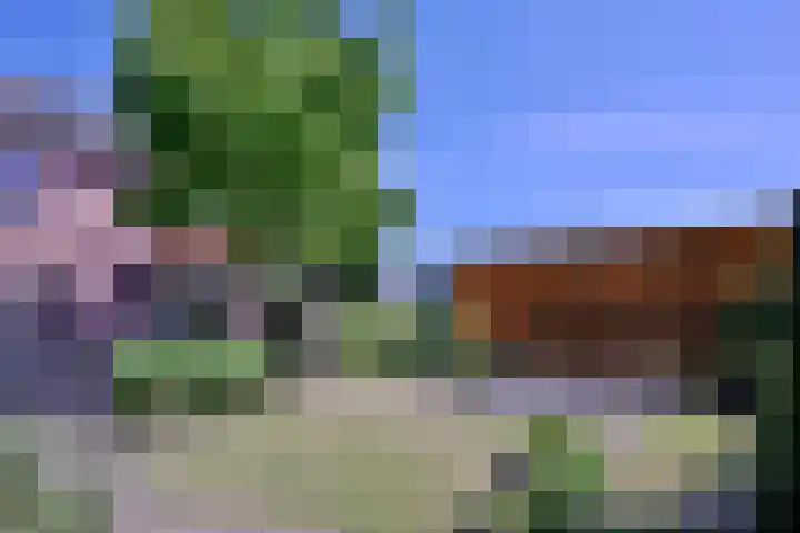 Hazenberg 28 Brummen thumbnail 41