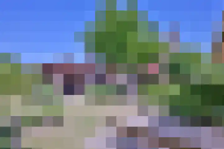 Hazenberg 28 Brummen thumbnail 42
