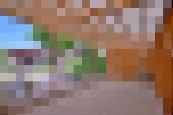 Hazenberg 28 Brummen thumbnail 43