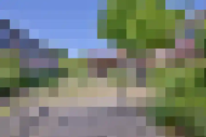 Hazenberg 28 Brummen thumbnail 44