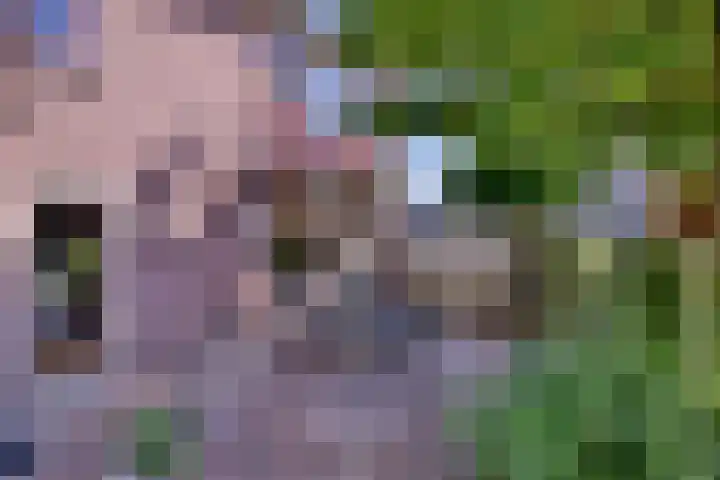Hazenberg 28 Brummen thumbnail 45