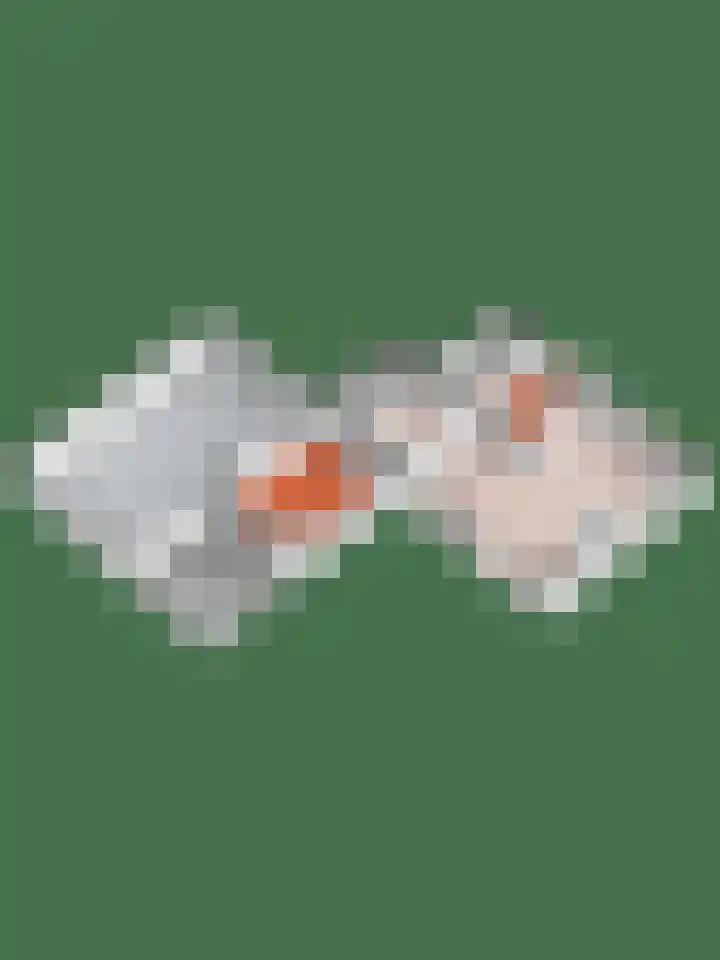 Hazenberg 28 Brummen thumbnail 50