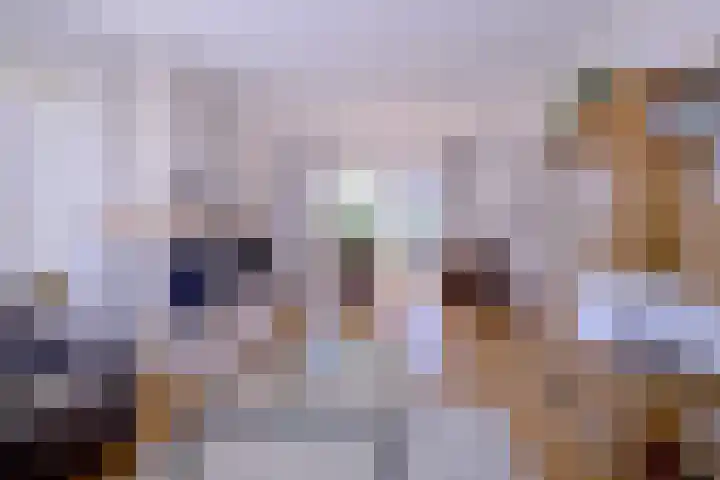 Hazenberg 28 Brummen thumbnail 9