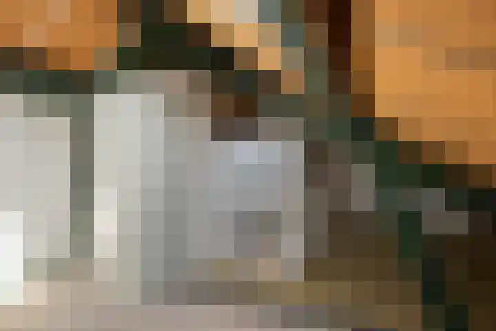 Hazenberg 29 Alphen thumbnail 34
