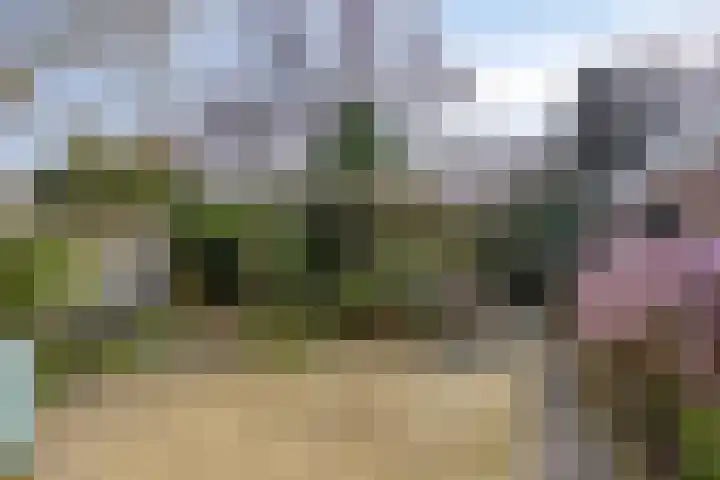 Hazenberg 29 Alphen thumbnail 36