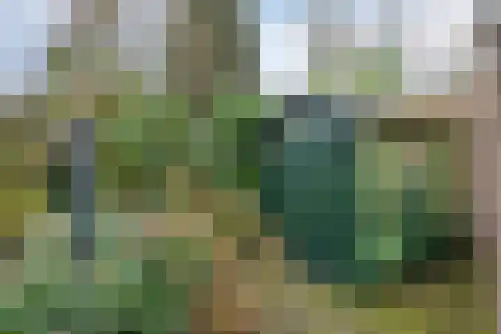 Hazenberg 29 Alphen thumbnail 39