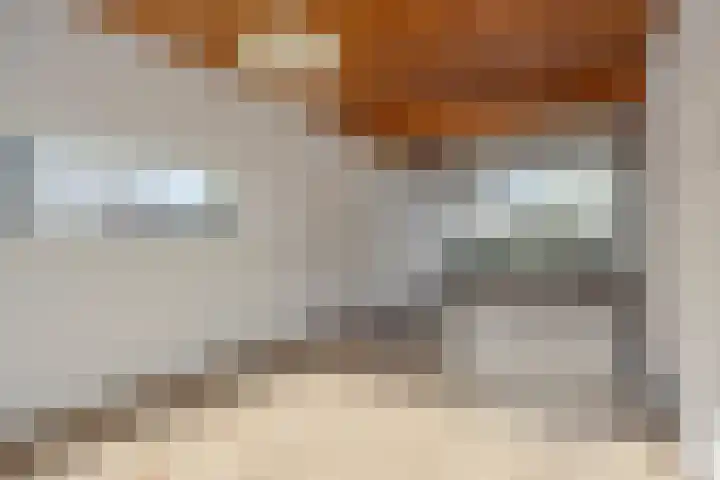 Hazenberg 29 Alphen thumbnail 5