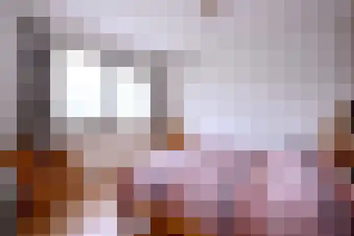 Hazenberg 38 Brummen thumbnail 11