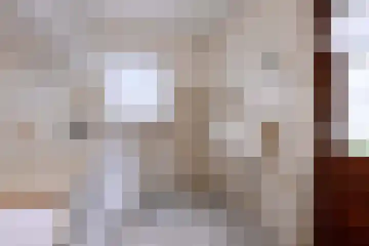 Hazenberg 38 Brummen thumbnail 13