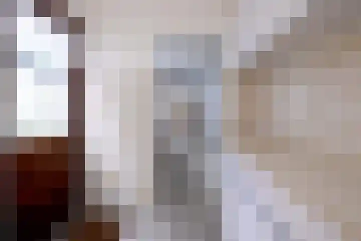 Hazenberg 38 Brummen thumbnail 14