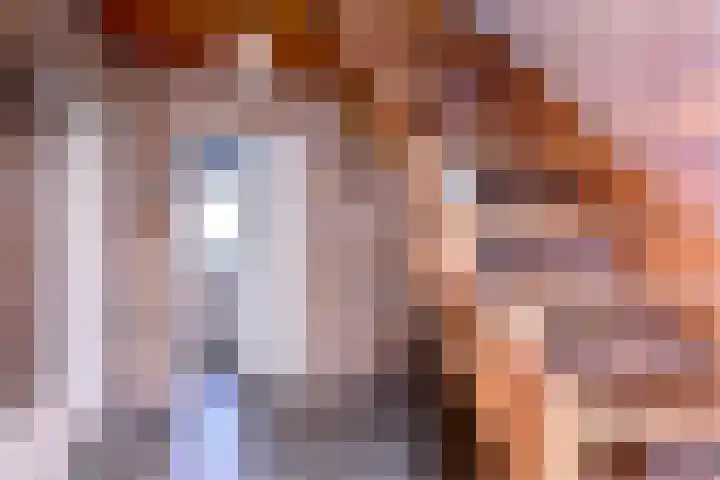 Hazenberg 38 Brummen thumbnail 15