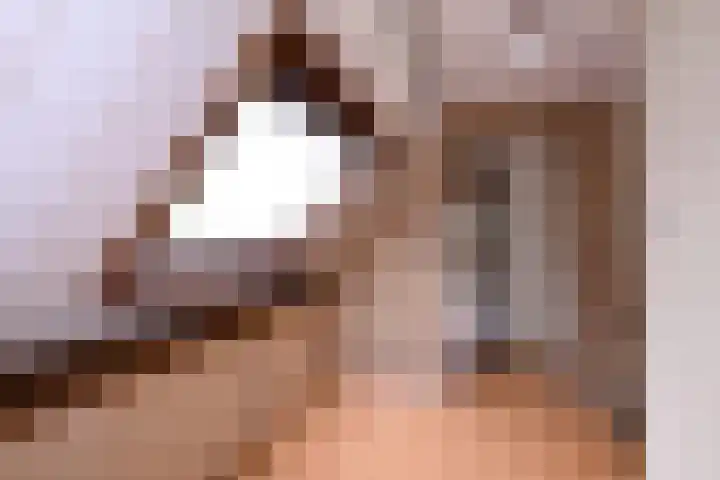Hazenberg 38 Brummen thumbnail 16