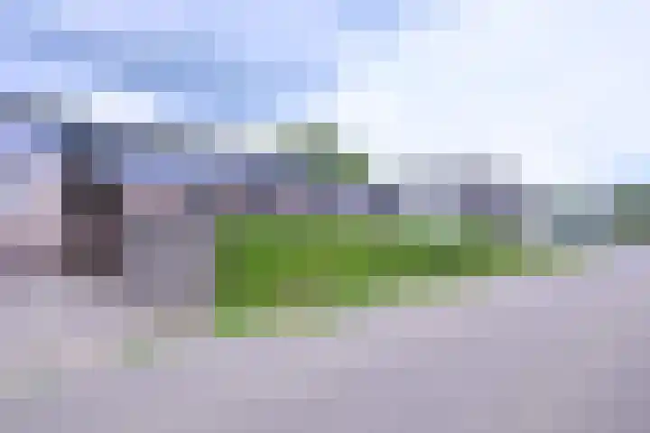 Hazenberg 38 Brummen foto 2