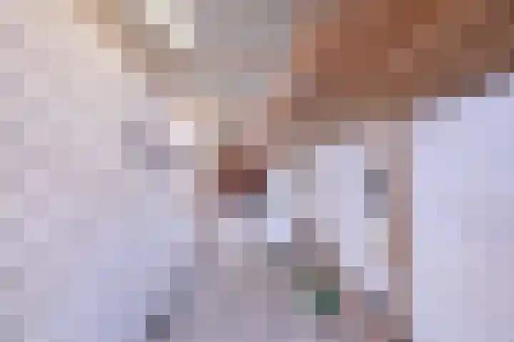 Hazenberg 38 Brummen thumbnail 30