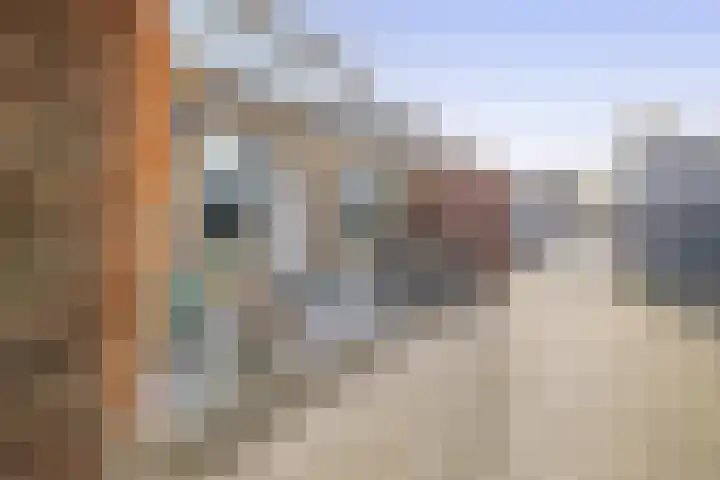 Hazenberg 38 Brummen thumbnail 33