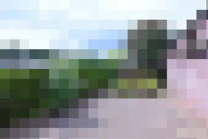 Hazenberg 38 Brummen thumbnail 33