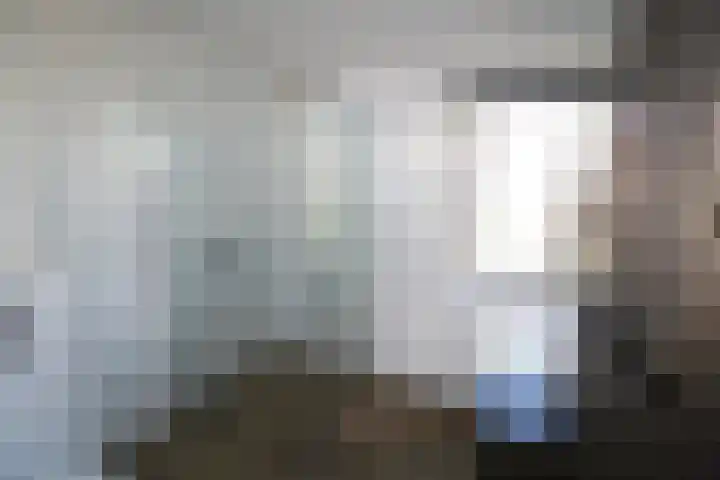 Hazenberg 38 Brummen thumbnail 36