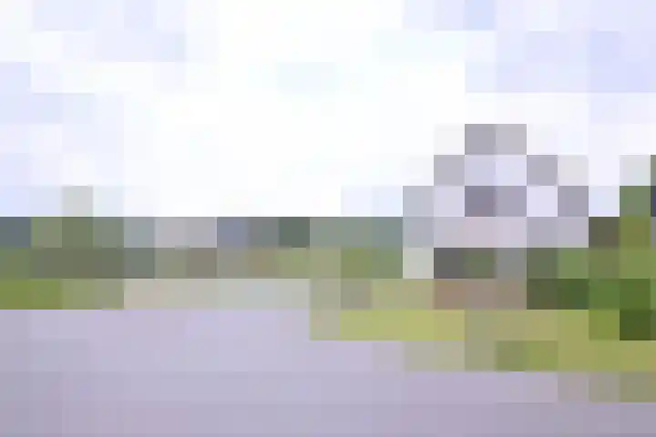Hazenberg 38 Brummen thumbnail 37