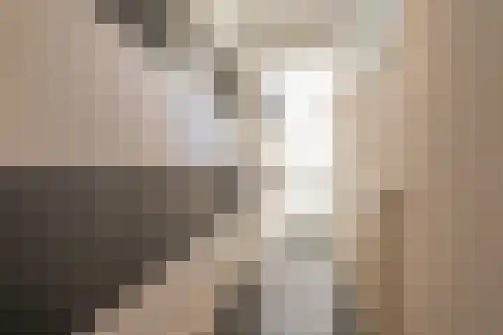 Hazenberg 38 Brummen thumbnail 43