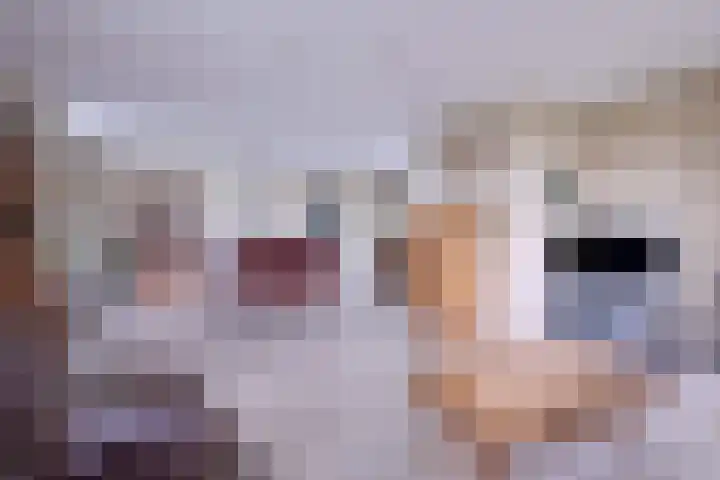 Hazenberg 38 Brummen thumbnail 5