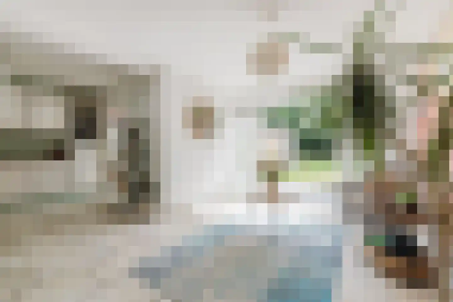 Hazenberg 5 Alphen thumbnail 20