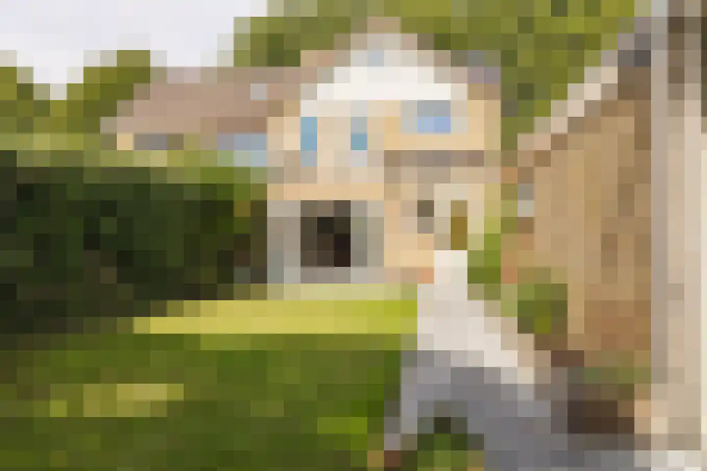 Hazenberg 5 Alphen thumbnail 51