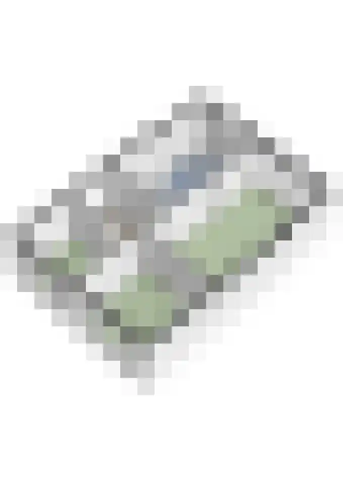 Hazenberg 5 Alphen thumbnail 60