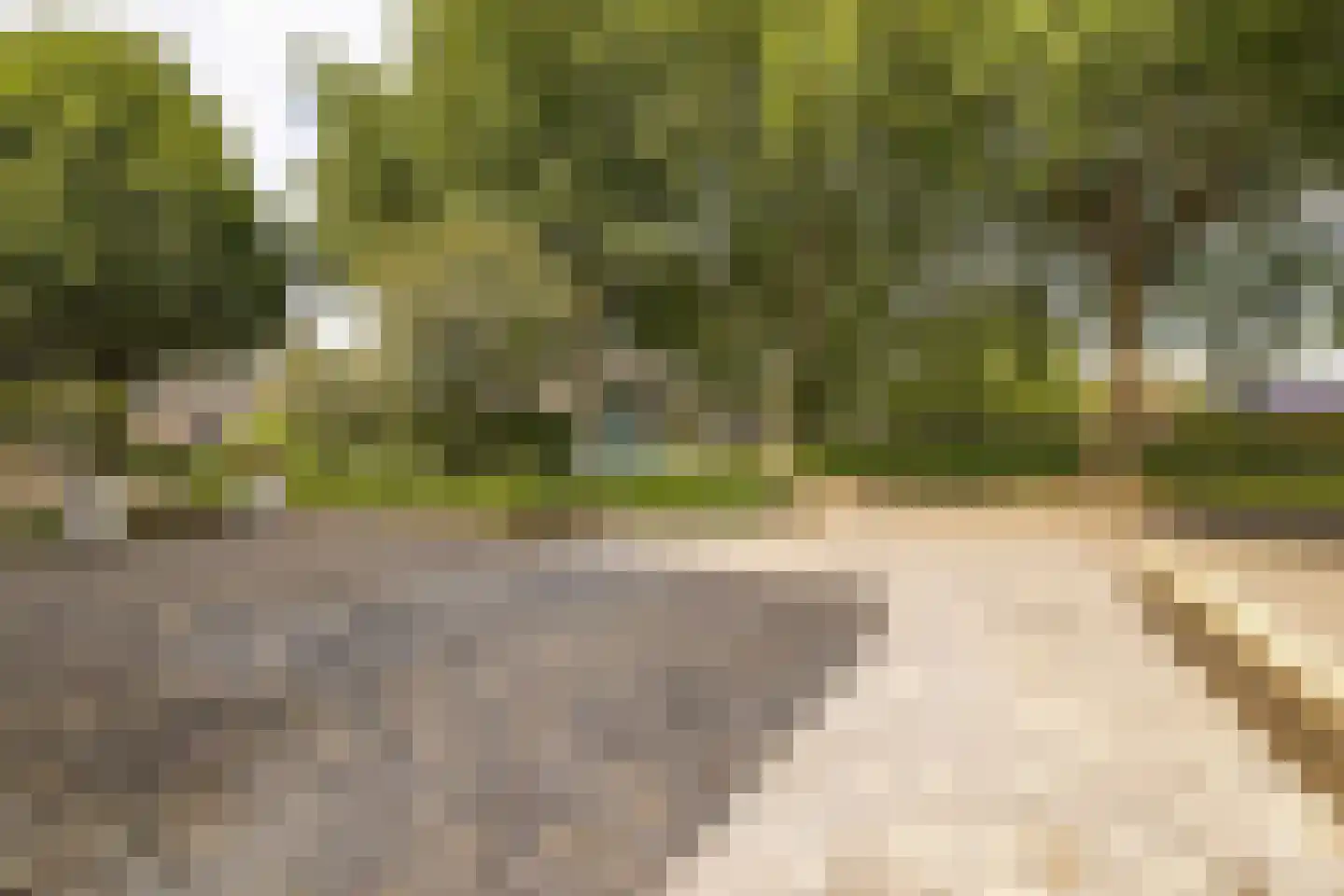 Hazenberg 5 Alphen thumbnail 7