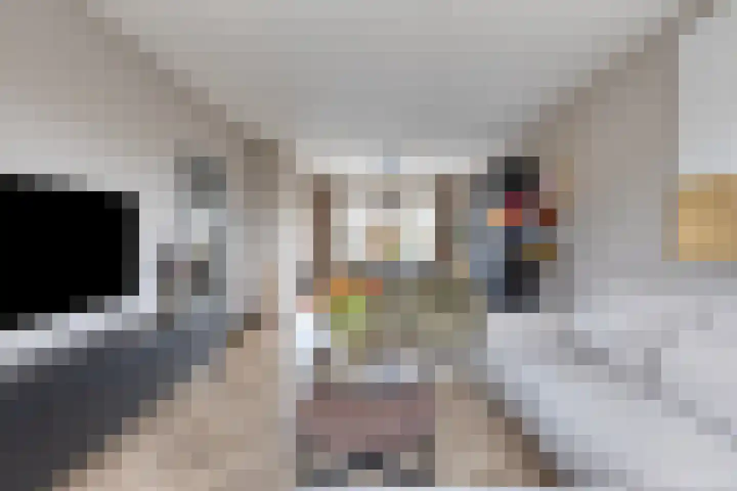 Hazenbos 20 Halsteren thumbnail 10