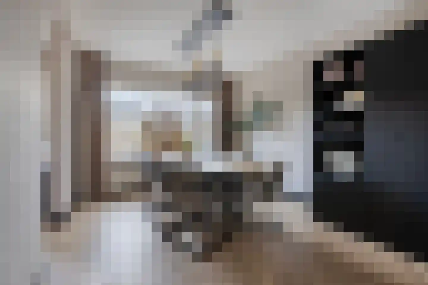 Hazenbos 20 Halsteren thumbnail 14