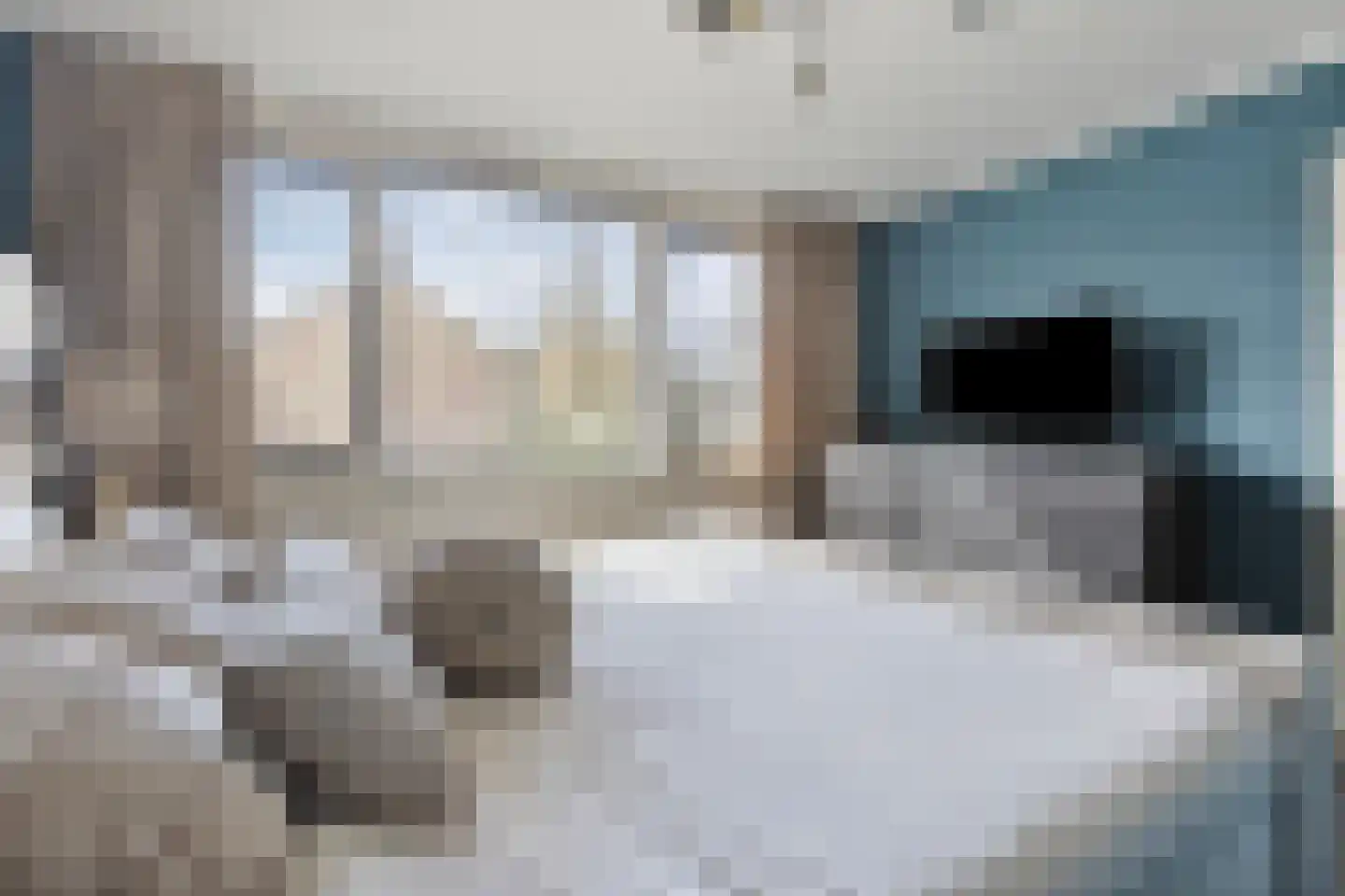 Hazenbos 20 Halsteren thumbnail 22