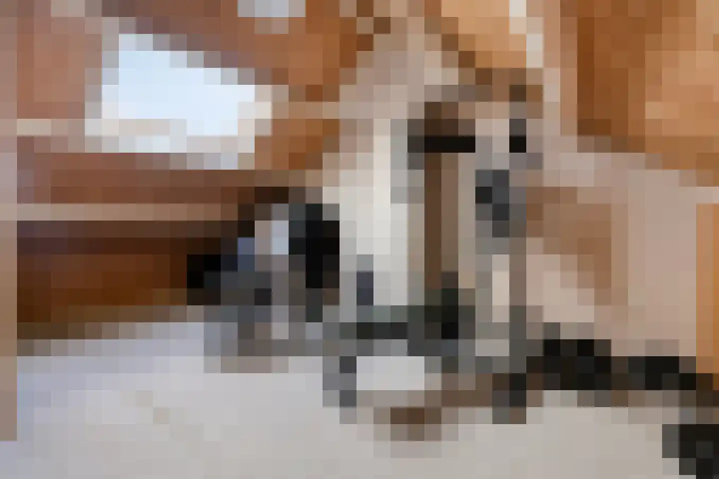 Hazenbos 20 Halsteren thumbnail 31
