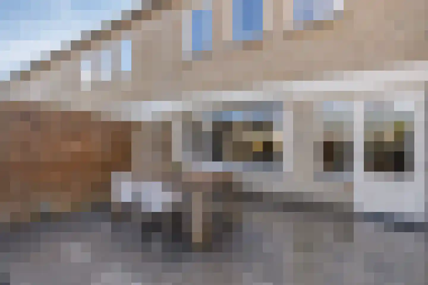 Hazenbos 20 Halsteren thumbnail 35