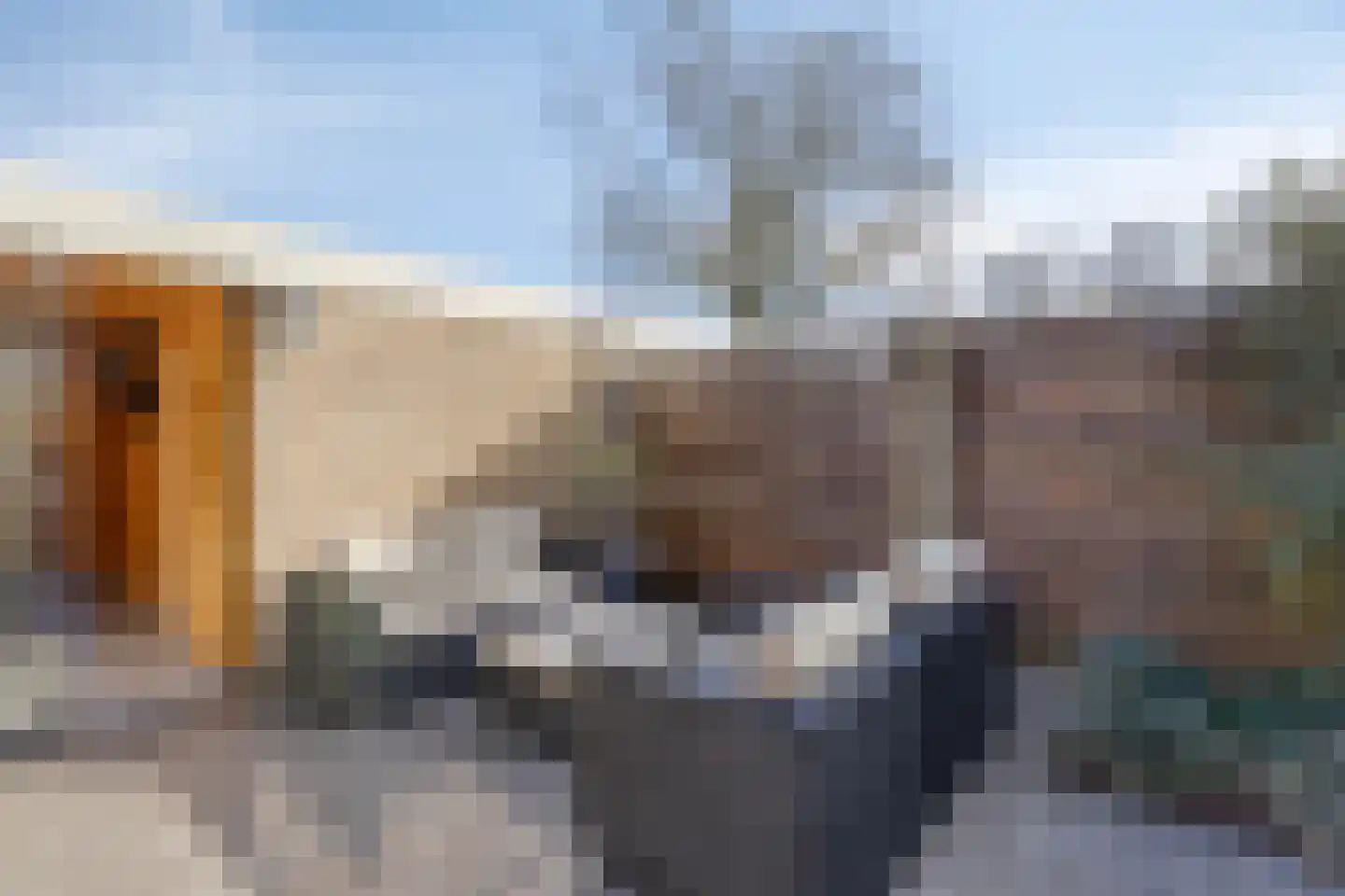 Hazenbos 20 Halsteren thumbnail 36