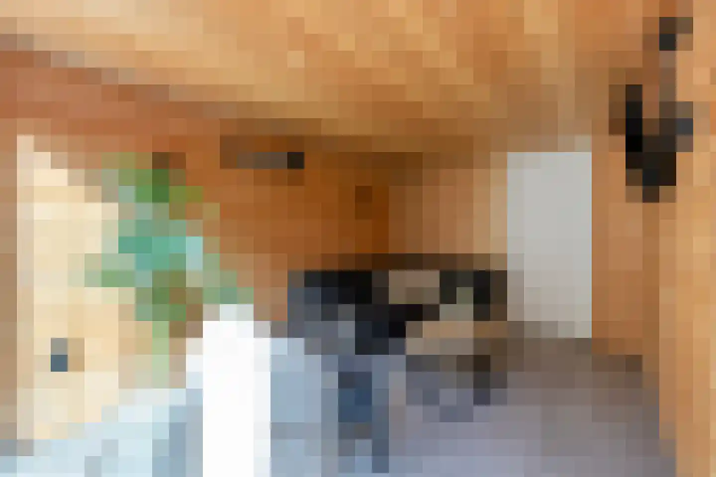 Hazenbos 20 Halsteren thumbnail 38