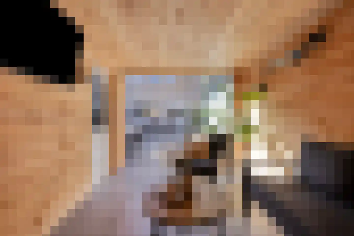 Hazenbos 20 Halsteren thumbnail 39