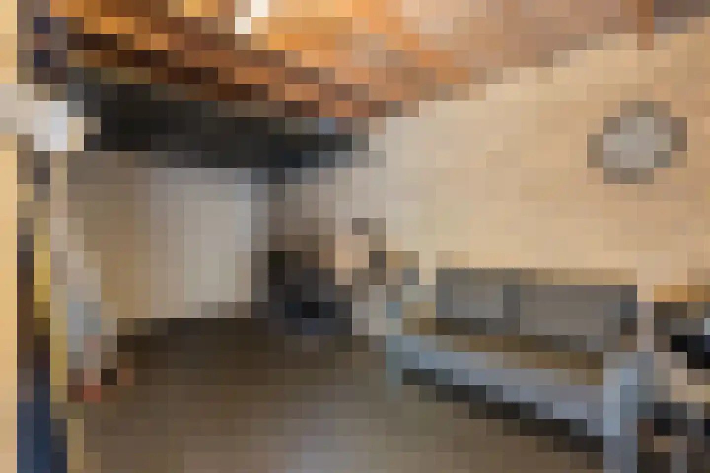Hazenbos 20 Halsteren thumbnail 40