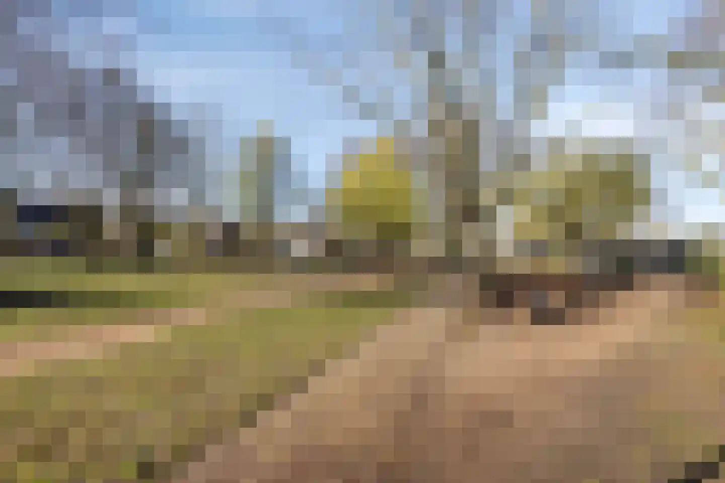 Hazenbos 20 Halsteren thumbnail 44