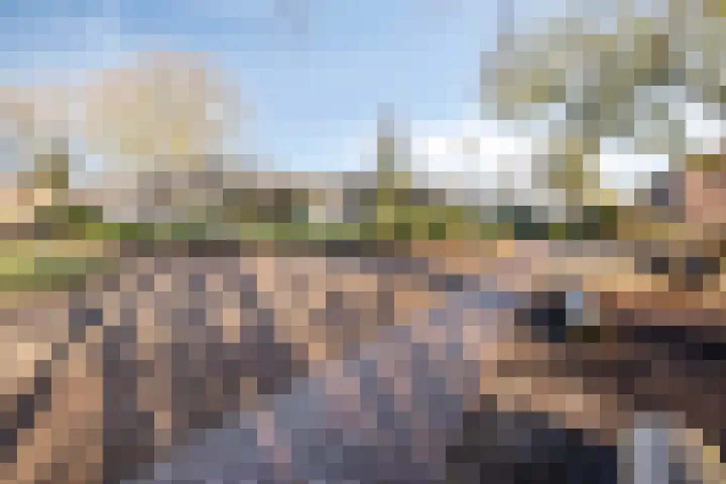 Hazenbos 20 Halsteren thumbnail 45