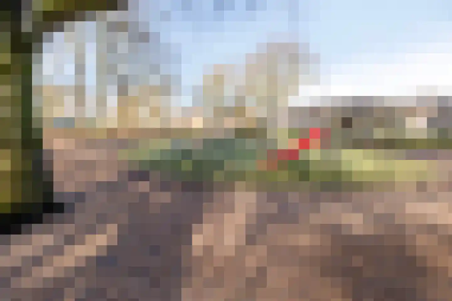 Hazenbos 20 Halsteren thumbnail 46